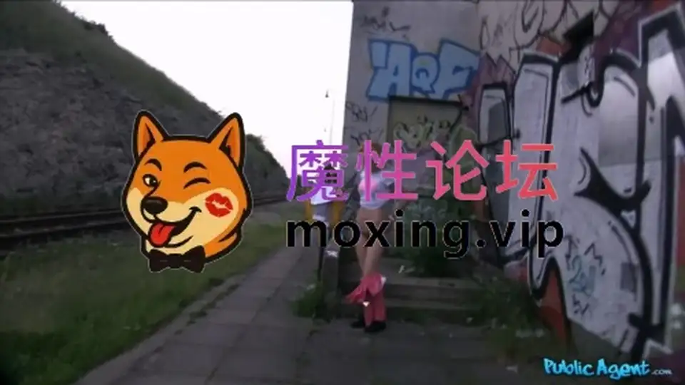 PublicAgent✅街头猎艳✅钱到性到 说干就干 主观视角 POV连载合集第二十七弹 [NV3.9G][百度]