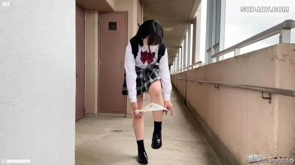 [合集] [转载搬运] 【進撃のごろうまる】 合集 第六部分（完结） [26V+79.6G][百度盘]