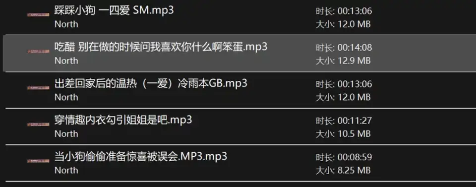 [转载搬运] [百度盘]【个人激推】North中文音声小合集+哄睡小故事【1G】 [1+950m][百度盘]