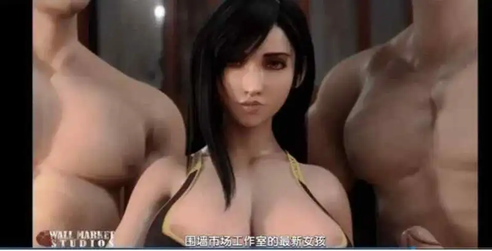 【3D】 最终幻想精品同人长篇有剧情有对话中文字幕版合集１５部合集【视频：１５V+１２G】