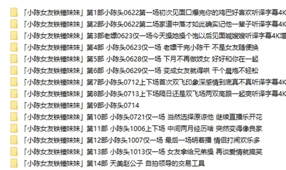 [91大神] [自行打包] 探花系列 铁锤妹妹小陈女友14部合集 [14v+45.9g][百度盘]