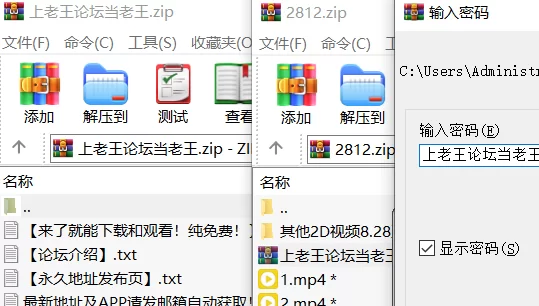 [无码] [自行打包] 《星刃》伊芙合集 [6v+1.95G][百度盘]