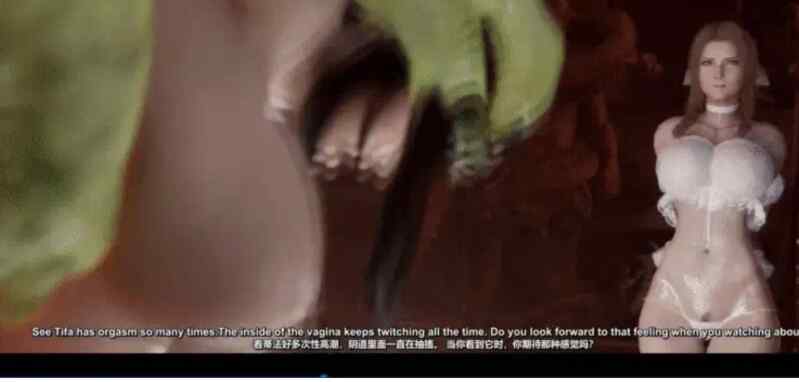 【3D】 最终幻想精品同人长篇有剧情有对话中文字幕版合集１５部合集【视频：１５V+１２G】