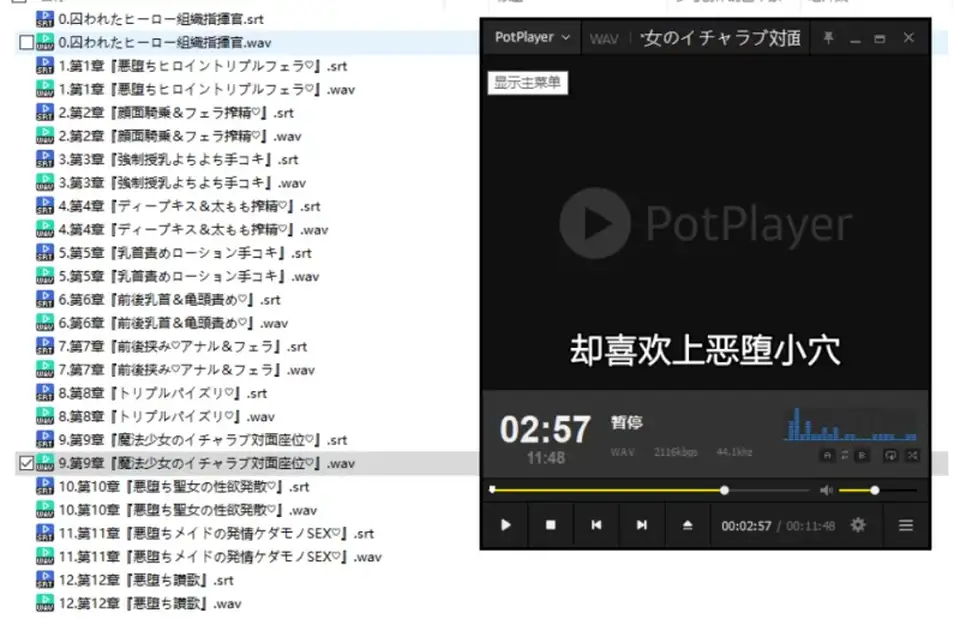 [转载搬运] 【逆推】被恶堕化的女主角们拖入快乐沼泽的逆推生活～ [12音频+6G][百度盘]