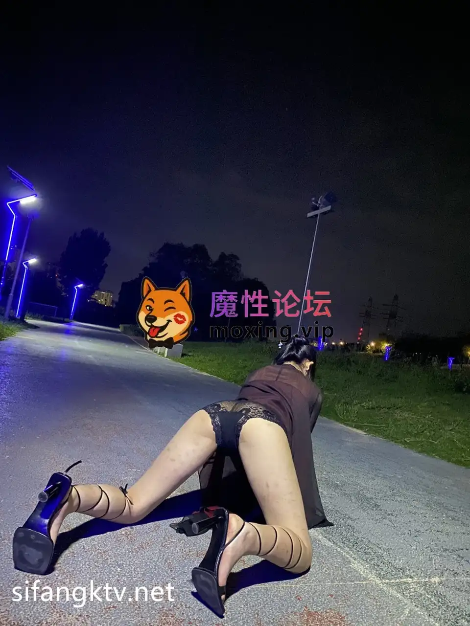 [夸克]顶级大神 小黑屋DOM合集【NP+NV】