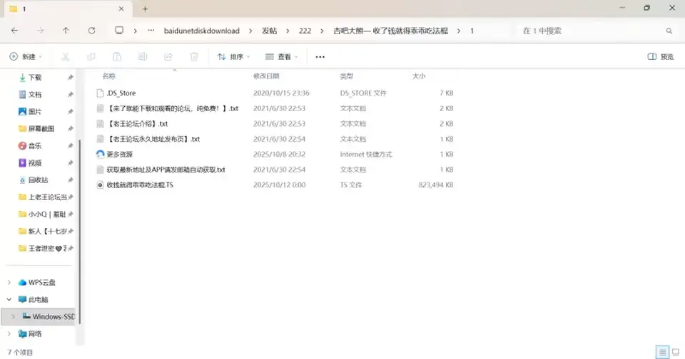 [自拍] [自行打包] 杏吧大熊— 收了钱就得乖乖吃法棍 [1v+770m][百度盘]