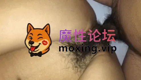 [磁力]91大神包养了半个月的学院派女神 [64v+19g]