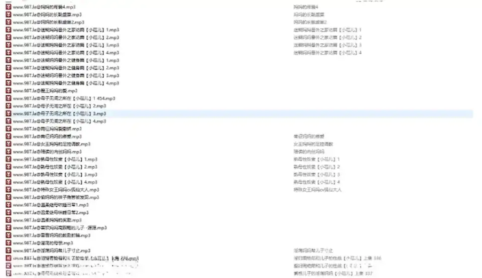 [转载搬运] R18母系音声精品合集594V29.1G [1+29G][百度盘]