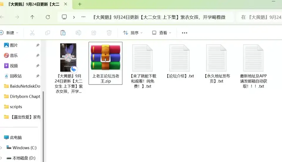 [91大神] [自行打包] 『大黄鹅』紫衣女孩，开学喝着微醺带到房间里猛干了 [1+900M][百度盘]