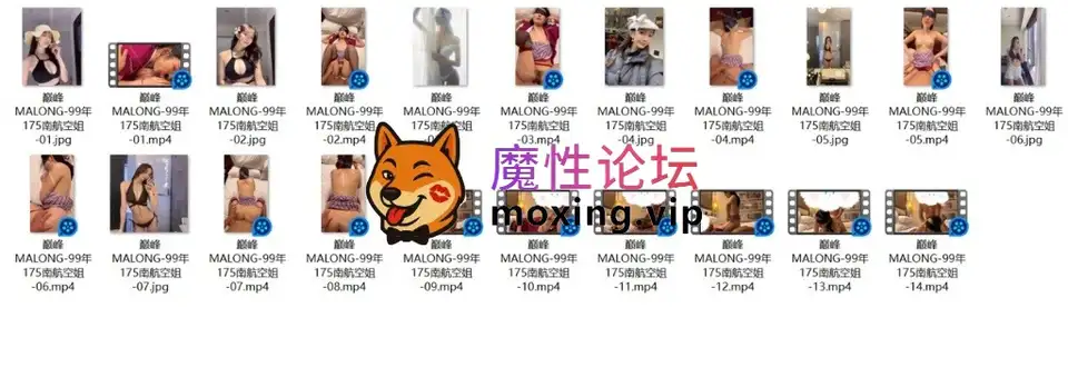 [夸克]推特大神【巅峰MALONG】更新5个番号完整版