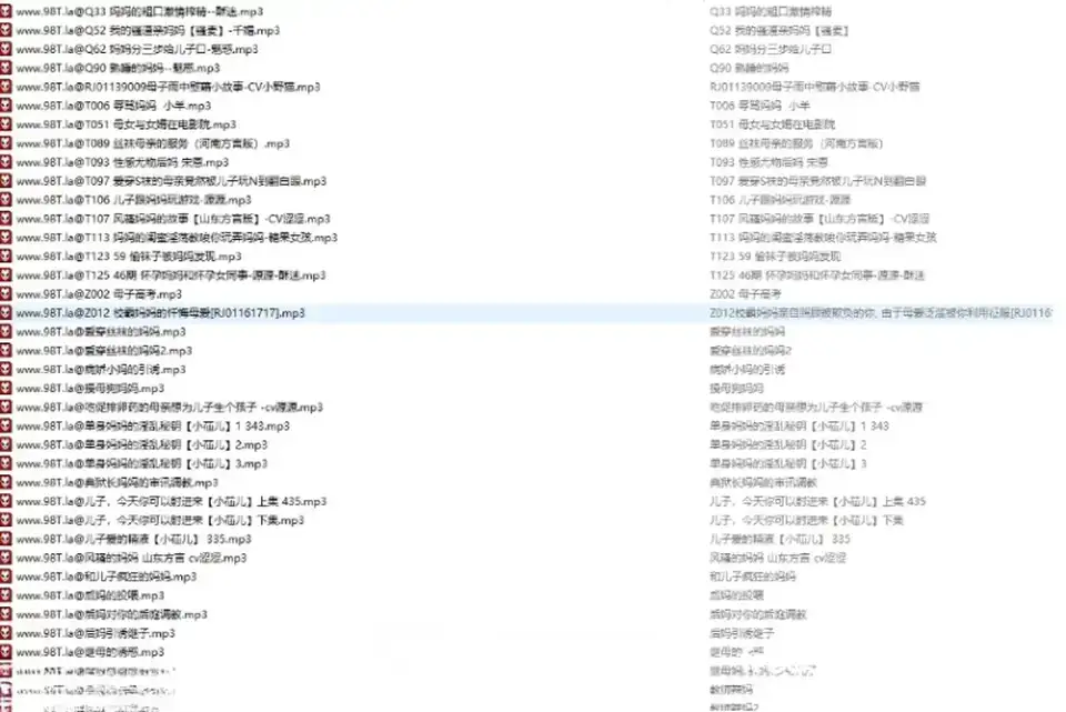 [转载搬运] R18母系音声精品合集594V29.1G [1+29G][百度盘]