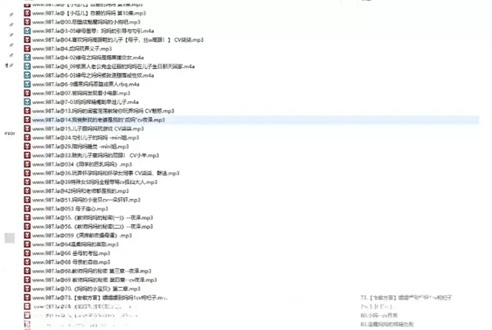 [转载搬运] R18母系音声精品合集594V29.1G [1+29G][百度盘]