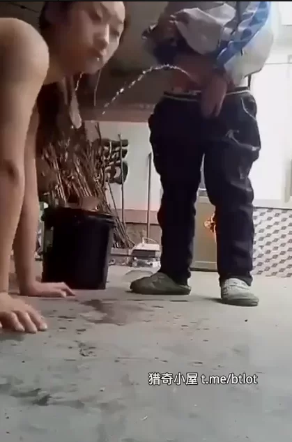 [其他] [转载搬运] 求这两个资源只有一个视频不知道还有多少悬赏贴_ [2+1G][百度盘]