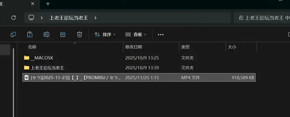 [自行打包] sera 2025-11-23 [1+894M][百度盘]
