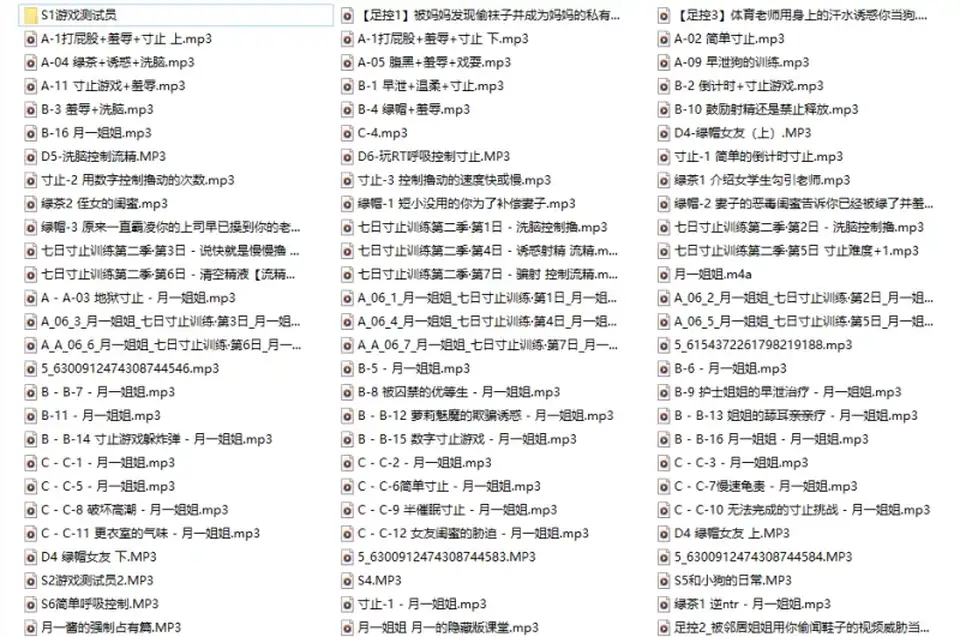 [其他] [自行打包] 一币白嫖【温柔向羞辱向ASMR】资源大合集 [290+11.9G][百度盘]