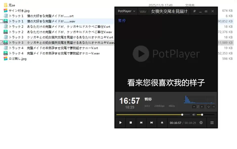[音声] [转载搬运] 【同人声音】被横刀夺爱报告]只属于我的完美女仆竟被我_ [1+1.44G][百度盘]