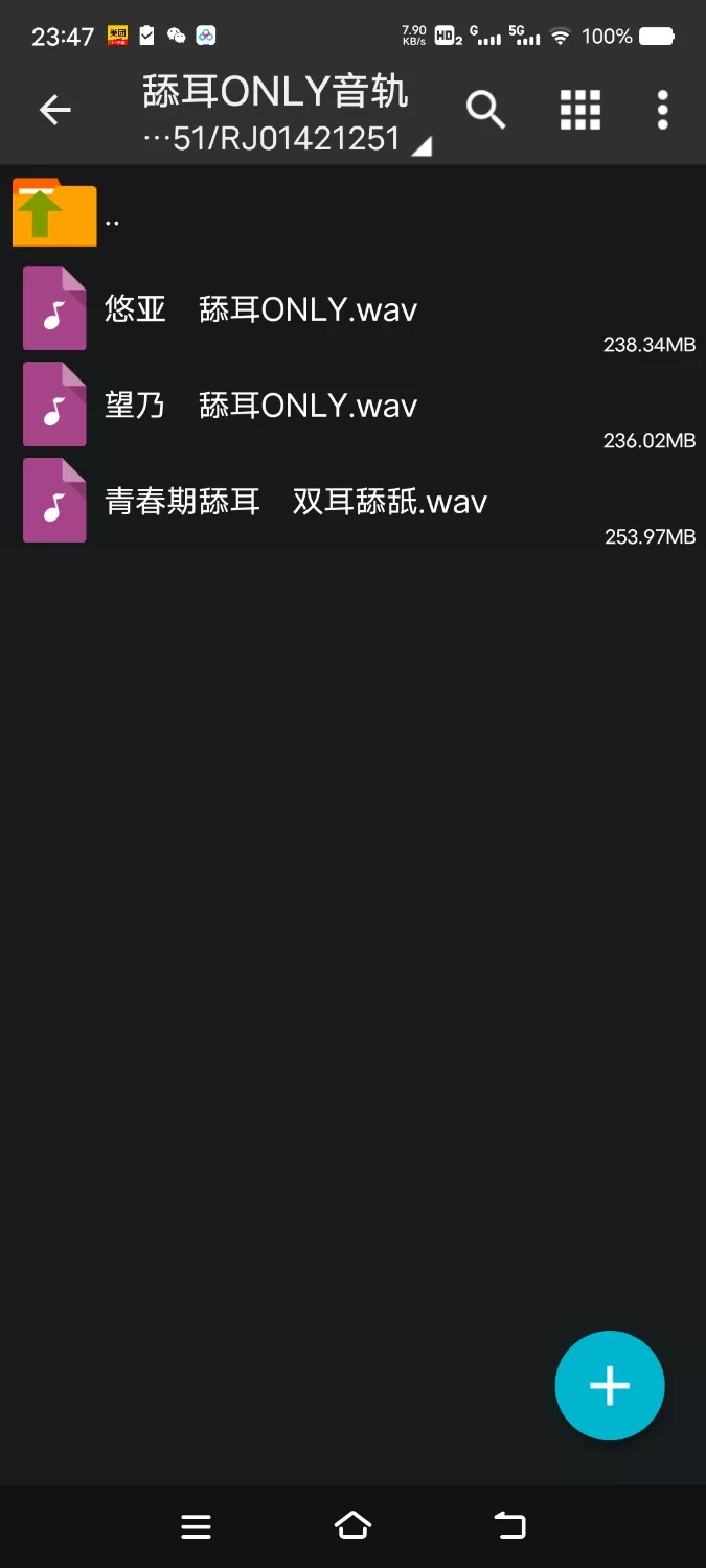 [自行打包] 【简体中文版】与变得无法抑制舔耳冲动的银发阴沉双胞胎每天深入舔耳性交 [6V+700M][百度盘]