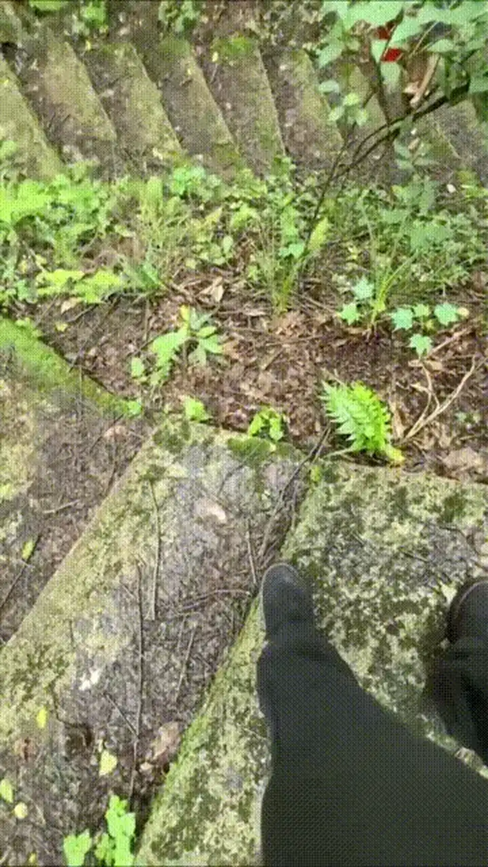 [乱伦] [转载搬运] 户外乱伦淫荡继母 周末带着继母去山里我掀起她的性感蕾_ [2+1642 MB][磁力链接]