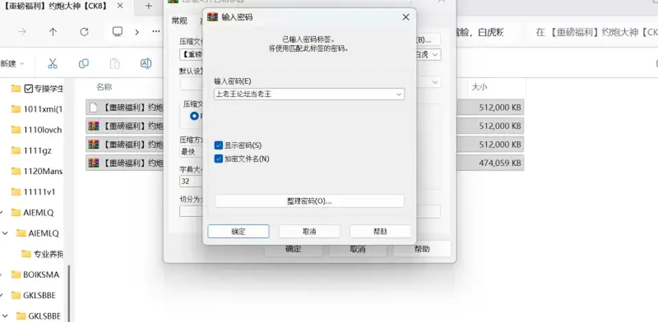 [91大神] [自行打包] 约炮大神【CK8】付费福利分享 超极品丝女友袜完美露脸 [1+1.9G][百度盘]