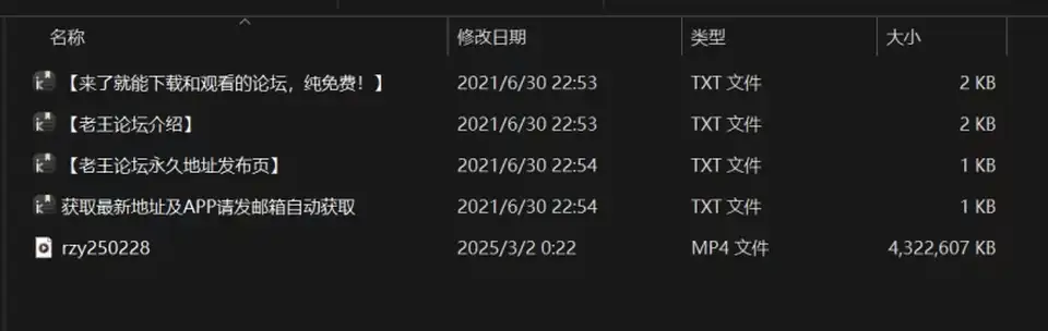 [自行打包] rizunya25 02 28 [5+4g][百度盘]