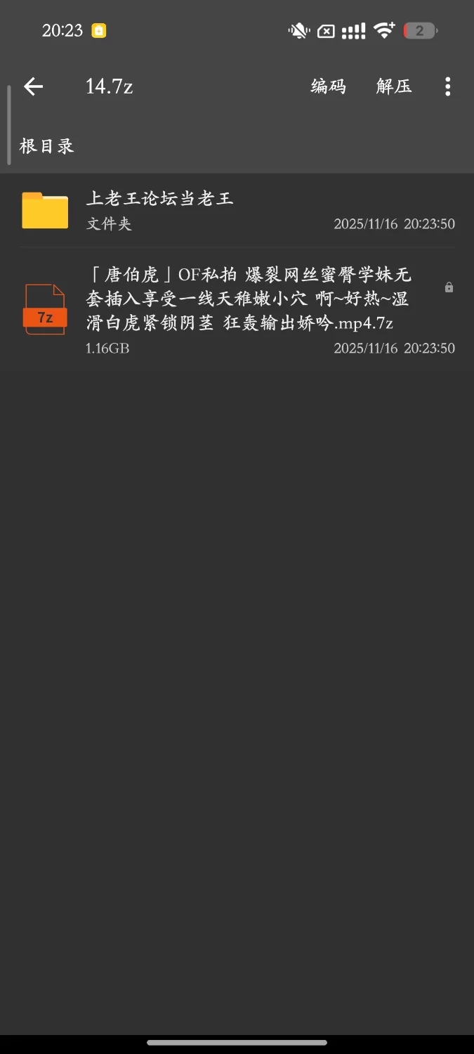 [91大神] [自行打包] 唐伯虎OF私拍 爆裂网丝蜜臀学妹无套插入享受一线天稚嫩小穴 [1v+1.16g][百度盘]