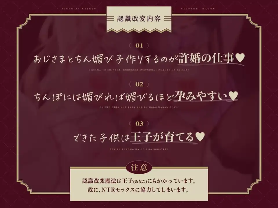 [音声] [转载搬运] RJ01214294 [托卵 NTR]认知改造媚药魔法~被寝取的 W 未婚公主_ [1+1.4G][百度盘]