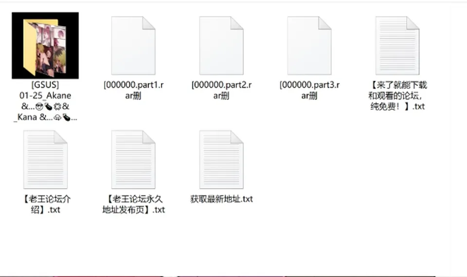 Akane &... [158p+256m][百度盘]