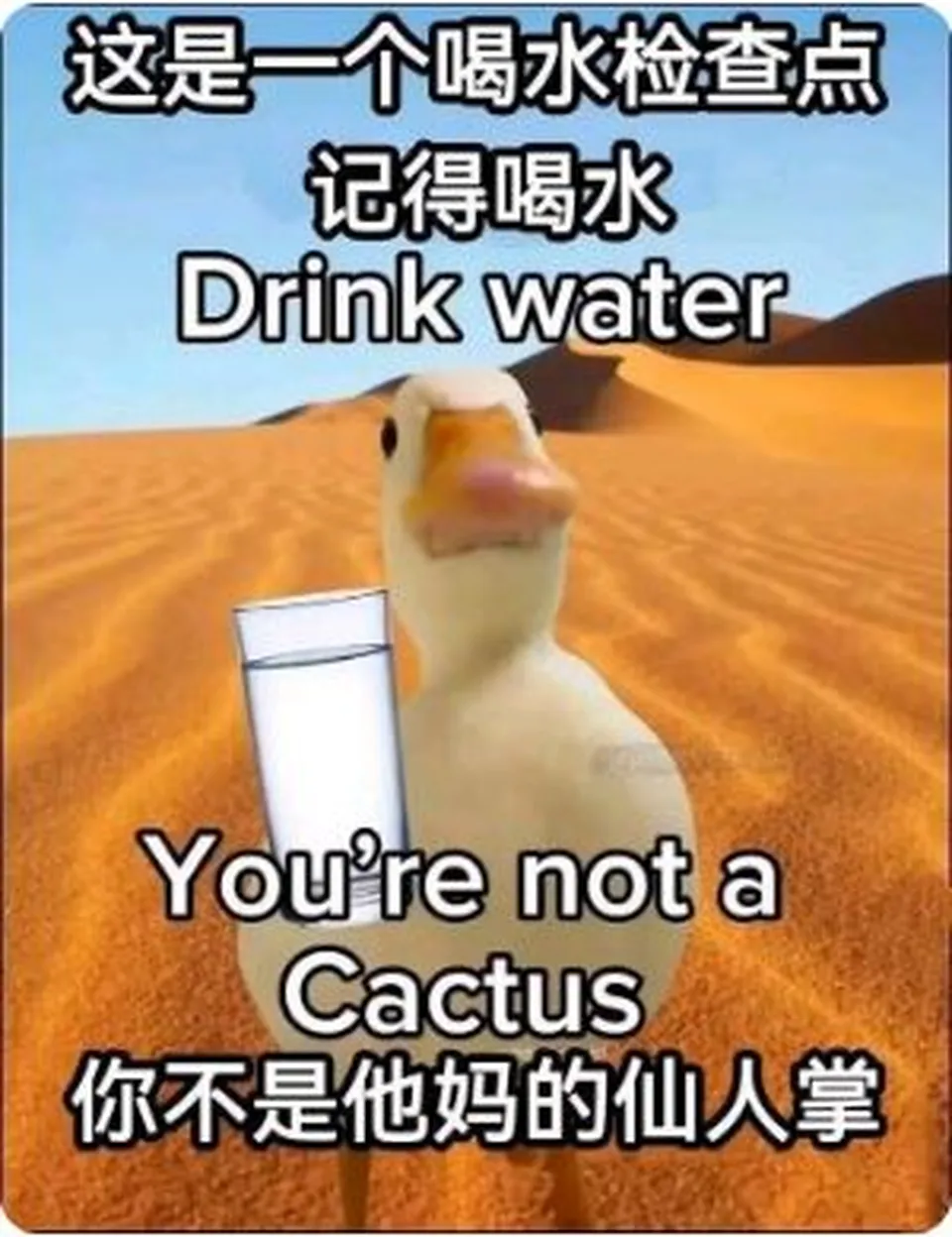 None